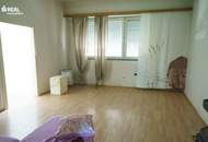 3 Wohneinheiten und ein Geschäftslokal mit vielen Lagerräumen auf 4.499m² Grund im Bauland Mischgebiet!