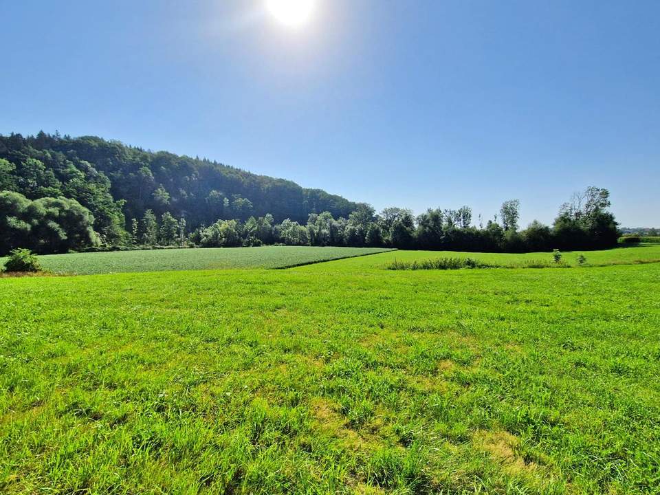 Ihr Unternehmensstandort mit Zukunft – Betriebsbaugrund in Top-Lage