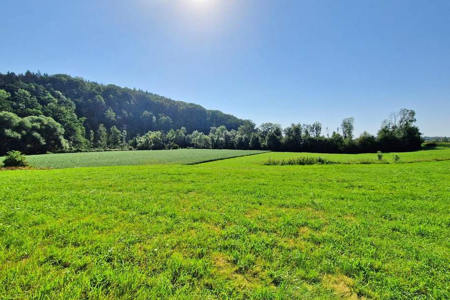 Ihr Unternehmensstandort mit Zukunft – Betriebsbaugrund in Top-Lage, Grund und Boden-kauf, 899.000,€, 4974 Ried im Innkreis