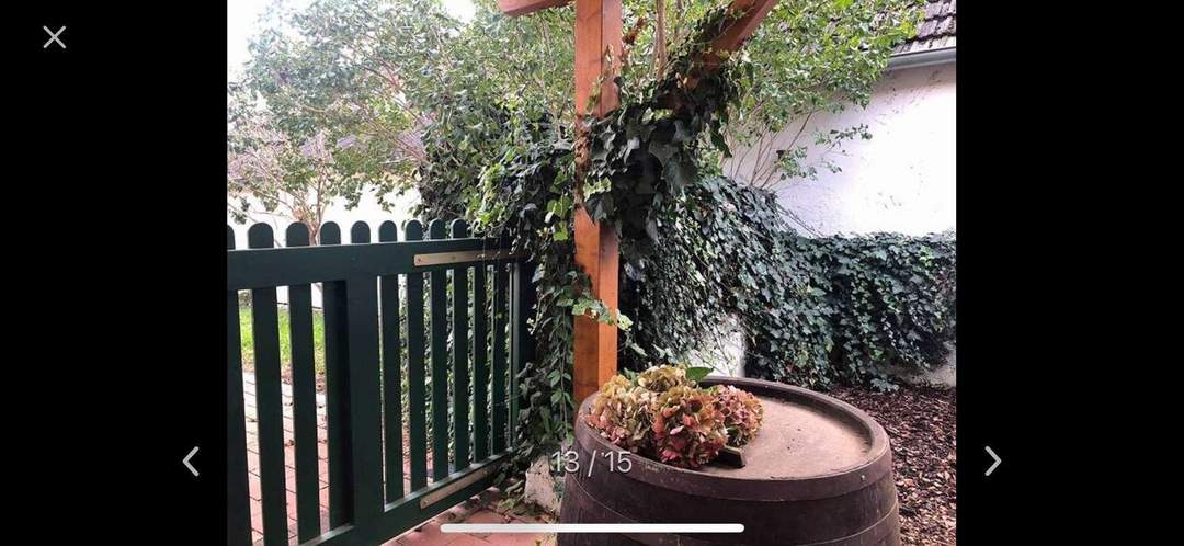 STRECKHOF IN DER THERMENREGION IM SÜDBURGENLAND!