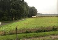 Traumhafte 2-Zimmer-Wohnung mit Loggia - nur 660€ inkl. BK und Heizung