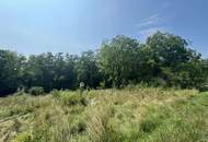 Zwei Baugrundstücke mit angrenzender Waldfläche in Hartberg - Am Brühlbach