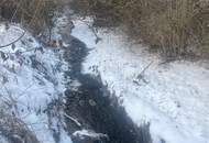 Günstiges Haus in der Nähe von Horn!