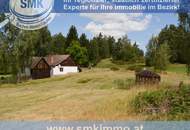 Weitläufiges Baugrundstück in Amaliendorf – Ruhe und Natur!