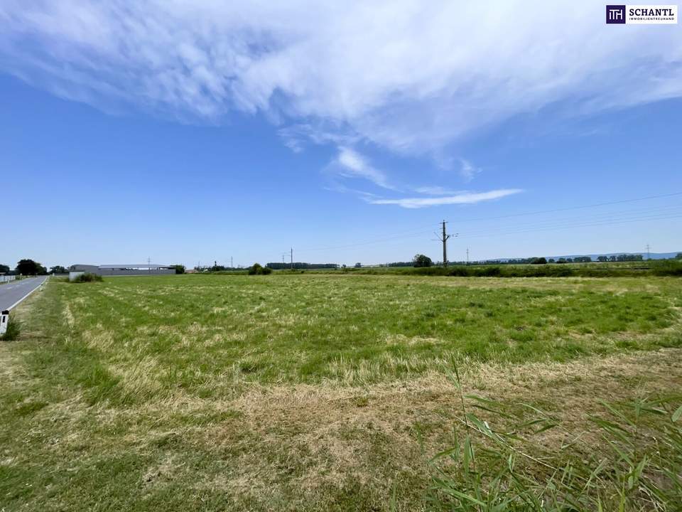 IHRE CHANCE: Betriebsgrundstück I TOP-Lage I Ideal geschnitten I Ortseinfahrt Mitterndorf/Fischa