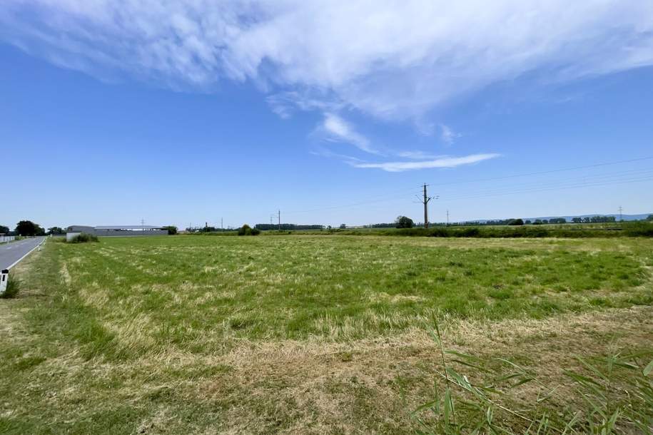 IHRE CHANCE: Betriebsgrundstück I TOP-Lage I Ideal geschnitten I Ortseinfahrt Mitterndorf/Fischa, Grund und Boden-kauf, 549.000,€, 2441 Baden