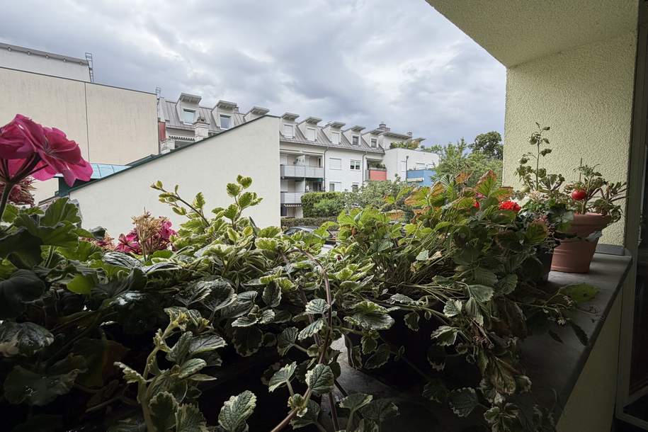 Ruhige Wohnung im Zentrum von Mödling, Wohnung-kauf, 249.000,€, 2340 Mödling