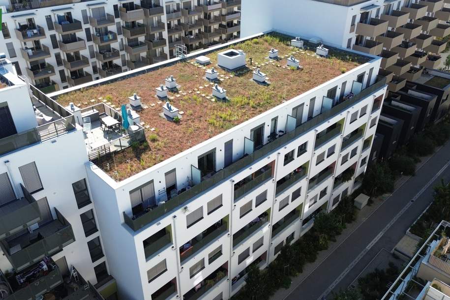 Exklusive Shop-Fläche im Aufstrebenden Viertel von Wien. - WOHNTRAUM, Gewerbeobjekt-miete, 4.312,38,€, 1220 Wien 22., Donaustadt