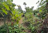 1.354m² oder 2x 677m² Baugrundstück