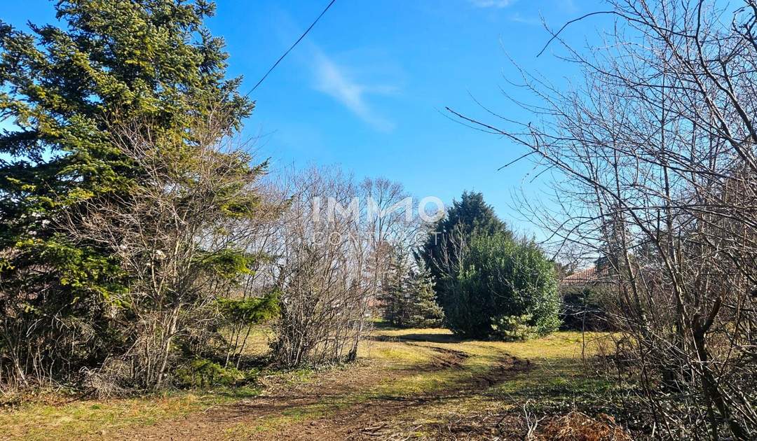 Bauträger oder Privatperson: Traumhaftes Grundstück mit Altbaumbestand in ruhiger Lage - teilbar