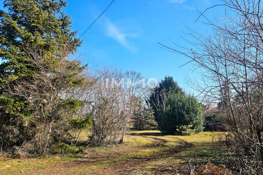 Bauträger oder Privatperson: Traumhaftes Grundstück mit Altbaumbestand in ruhiger Lage - teilbar, Grund und Boden-kauf, 2.247.400,€, 2425 Neusiedl am See