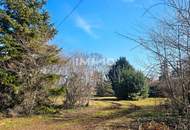 Bauträger oder Privatperson: Traumhaftes Grundstück mit Altbaumbestand in ruhiger Lage - teilbar