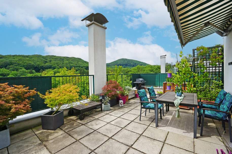 Dachterrasse mit Grünblick - Eine Traumwohnung für ruhesuchende Paare!, Wohnung-kauf, 345.000,€, 1140 Wien 14., Penzing