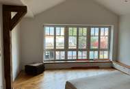 Traumhaftes ehemaliges Winzerhaus in Traiskirchen: 460m² Luxus - großzügiges Leben und Arbeiten unter einem Dach!