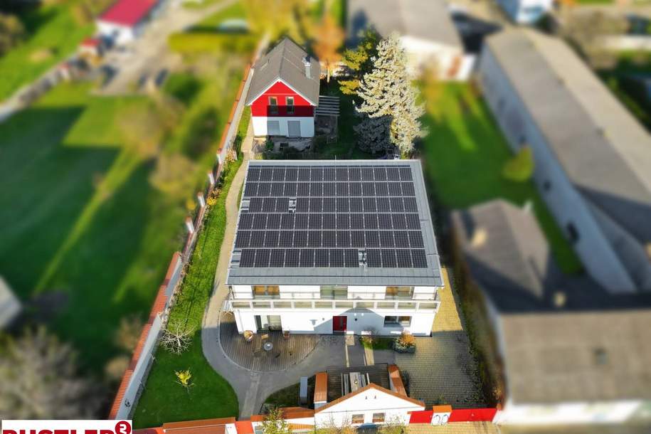 Modernes Wohnen trifft Nachhaltigkeit - Zwei außergewöhnliche Griffnerhäsuer zum gemeinsamen Kauf, Haus-kauf, 2474 Neusiedl am See