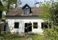 Aufwachen in luxuriöser Kulisse: Erstklassiges Landhaus in 1190 Wien