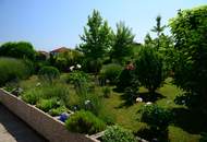 Traumhaus in Purbach am Neusiedlersee