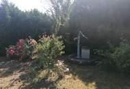 Ideal für´s Wochenende!