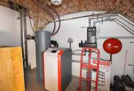 Renovierter Altbau mit großem privatem Garten und vielen Extras in Ruhelage