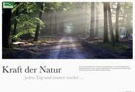 Endlich wieder normale Preise. 3-Zi. Gartenwohnung, wunderbar privat & ruhig gelegen. | amBergblick19 | Top 2