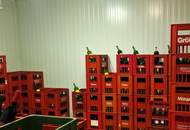 Großes Haus für Visionäre in Aussichtslage (Buschenschank, Weingärten)