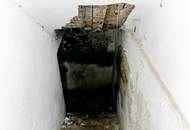 Sanierungsobjekt mit mehreren Wohnungen in absoluter Ruhelage