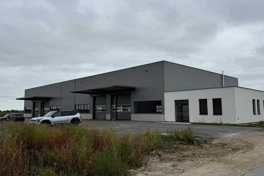 Top Gewerbe- / Produktionshalle zu mieten!, Gewerbeobjekt-miete, 9,10,€, 2482 Mödling