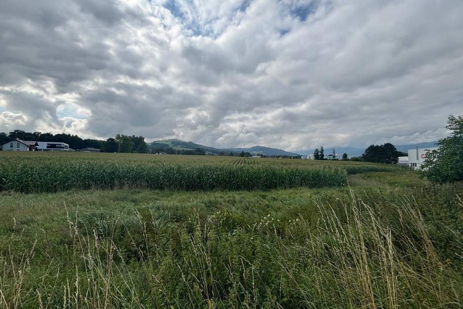 Landwirtschaftliche Nutzflächen - ca. 5,5 ha, Grund und Boden-kauf, 990.342,€, 4542 Kirchdorf an der Krems