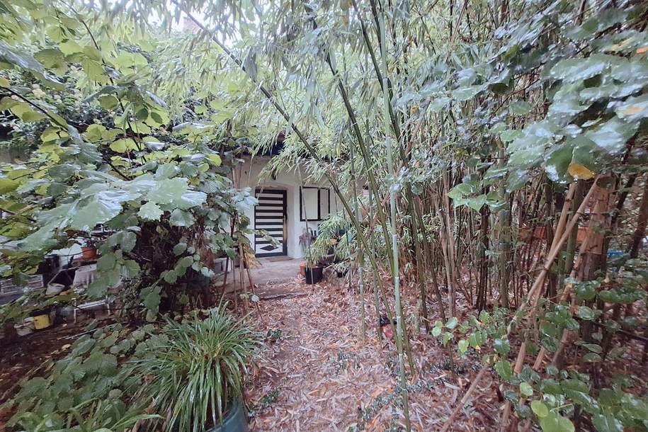 Ehemaliges Bauernhaus auf Bauland Agrargebiet, Haus-kauf, 100.000,€, 3124 Sankt Pölten(Land)