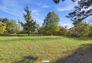 Ruhe, Raum & Lebensqualität: Charmantes Haus mit parkähnlichem Garten in Immendorf!