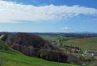 IN SLOWENIEN! Winzerhaus mit Weingarten und Blick bis zum Horizont!