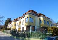 Sanierter Wohntraum mit Eigengarten in der Kaasgrabengasse