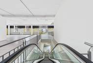 Mach diesen außergewöhnlichen Ort zu deinem! Großzügige Fläche in Bestlage von Wiener Neustadt | Zwei Etagen | Rolltreppe und Lift