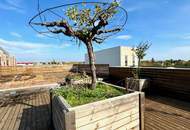 Ab 6,50 / m² - Exklusive Büro-, oder Veranstaltungsflächen zur Vermietung