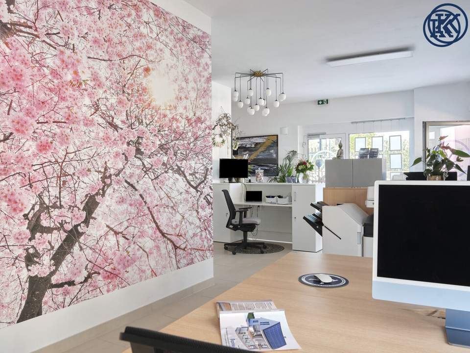 Nutzung möglich als: Blumenladen, Einzelhandel, Kaffeehaus, Kebap-Stand, Pizzeria oder Büro.