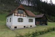 Haus mit Stall, Wiese und Wald in Etmißl