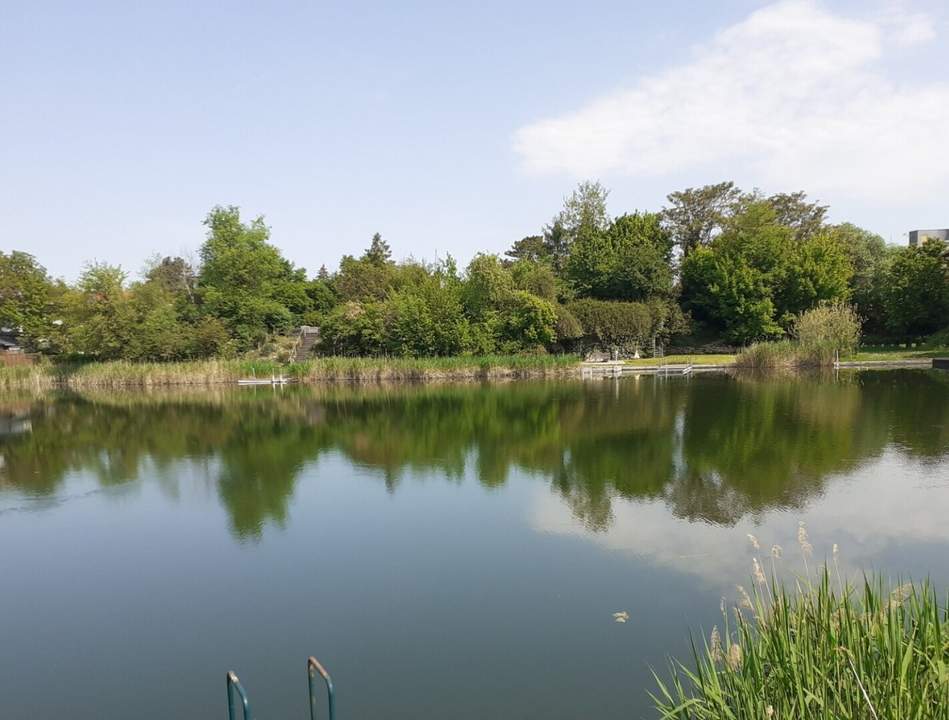 Leben, wo andere Urlaub machen - Zuhause am privaten See - Provisionsfrei