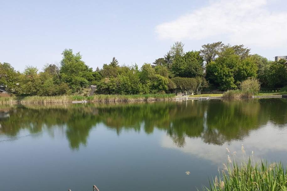 Leben, wo andere Urlaub machen - Zuhause am privaten See - Provisionsfrei, Haus-kauf, 799.800,€, 2333 Bruck an der Leitha