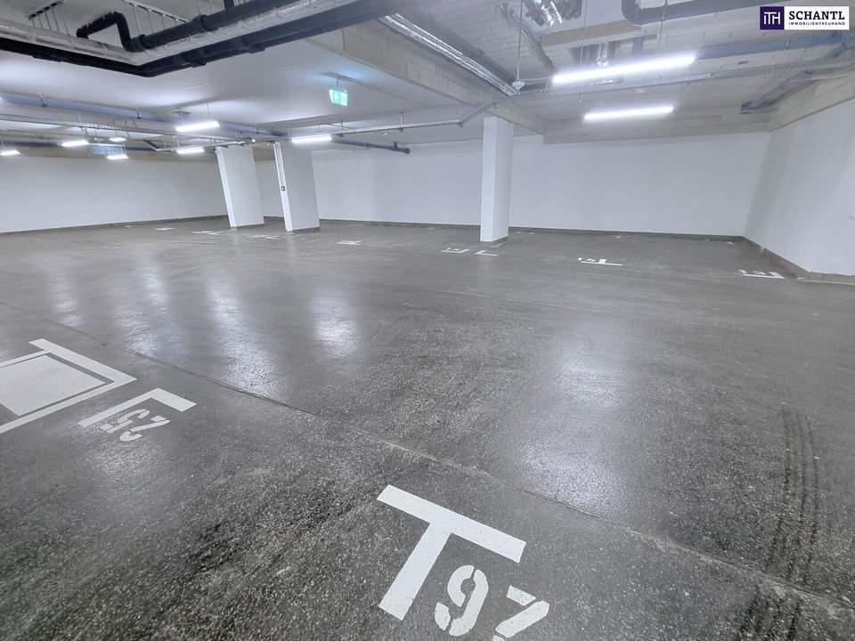 Tiefgaragenplatz in perfekter Lage in 1210 Wien! Prager Straße gleich um´s Eck! Die Parkplatzsuche hat ein Ende! Schnell sein!