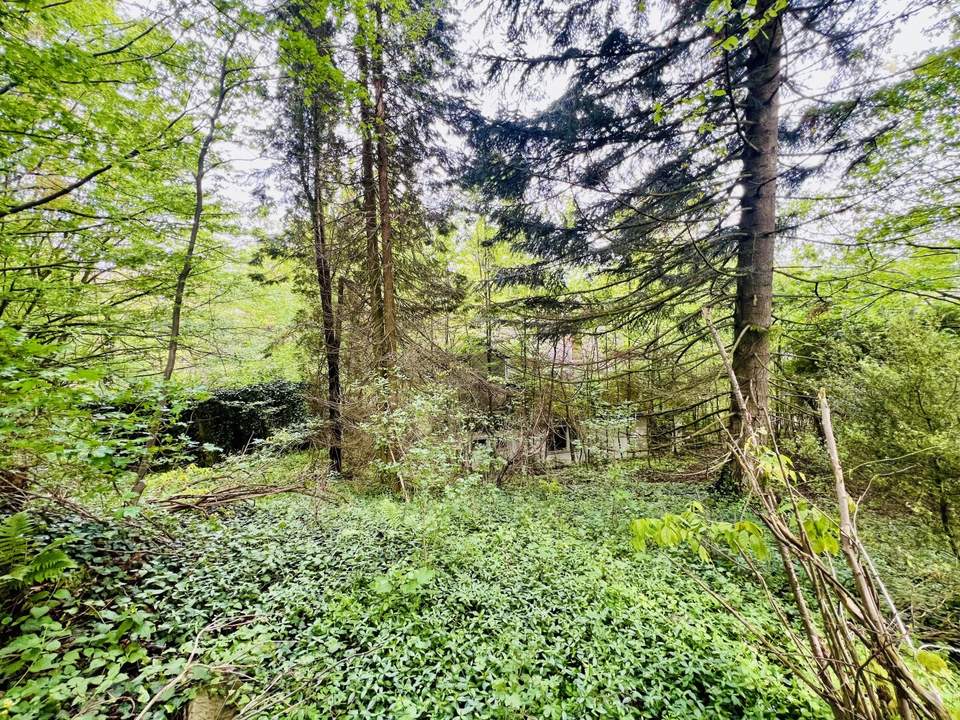 Baugrundstück in herrlicher Ruhelage - vor den Toren Wiens - grüner Weitblick übers Tal - gut bebaubar