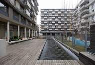 "Dein Atelier in der Seestadt"