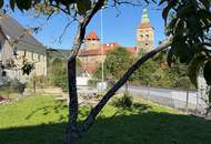 Einfamilien-/Ferienhaus verbindet historischen Charme mit modernem Wohnkomfort mit Burgblick!
