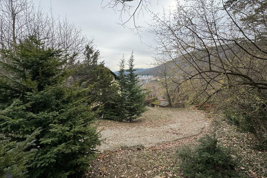 Lage Lage Lage! Einzigartige Villa in idyllischer Lage - Perfektes Renovierungsprojekt in Hinterbrühl!, Haus-kauf, 1.499.000,€, 2371 Mödling