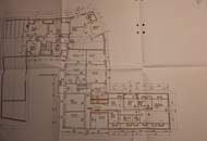 Außergewöhnliche Haushälfte vor den Toren Wiens mit enormem Potential