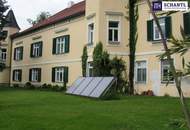 Ein Märchenschloss Nähe Wildon-komplett saniert mit prachtvoller ca. 40.000m² Parkanlage - Biomasseheizung!