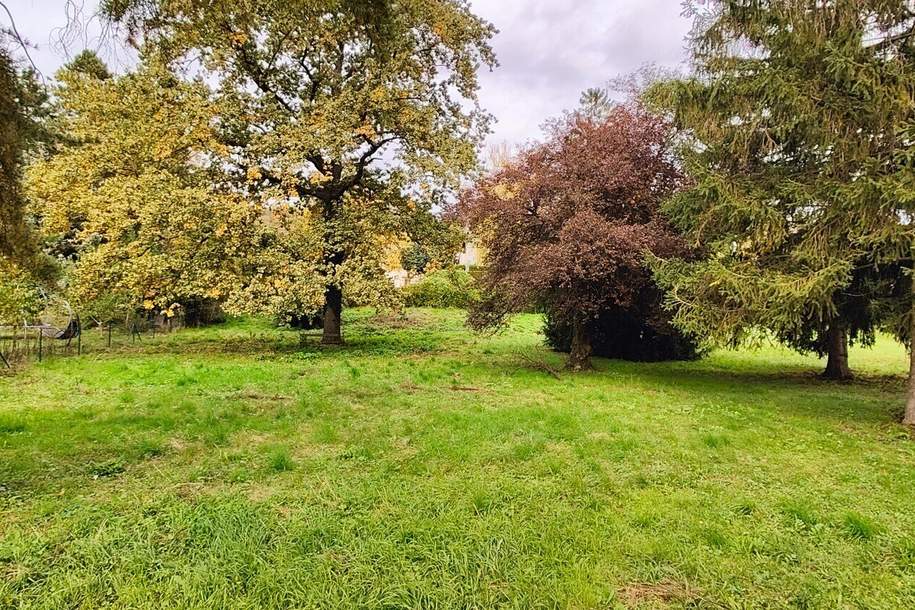 Traumhafte Fahnenparzelle am Fuße des Bisambergs, Grund und Boden-kauf, 1.050.000,€, 1210 Wien 21., Floridsdorf