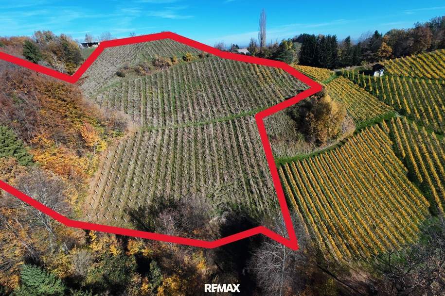Weingarten mit Landwirtschaft in Kranach, Gemeinde Gamlitz zum Schnäppchenpreis( ZONE III ), Gewerbeobjekt-kauf, 99.000,€, 8462 Leibnitz