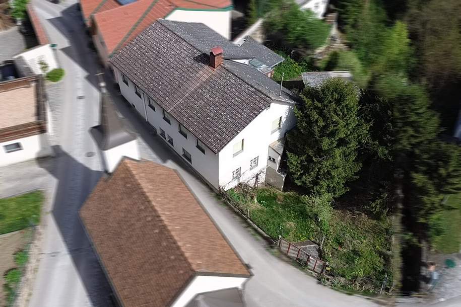 Sanierungsbedürftiges Einfamilienhaus im "Spitzer Graben" in der Wachau!, Haus-kauf, 139.000,€, 3620 Krems(Land)
