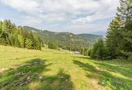 Klippitztörl: Das Grundstück für Ihre Ferienhütte im Wanderparadies direkt an der Piste!