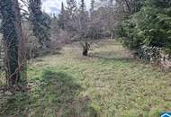 Exklusives Baugrundstück am Mitterberg – Ruhe, Natur und Lebensqualität